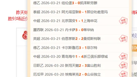 张之臻鹿特丹赛首轮不敌卢布列夫